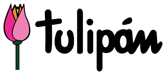 Tulipán